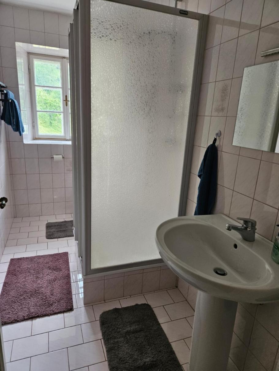 Wohnung Im Nationalpark Kalkalpen 3 Reichraming Exterior foto